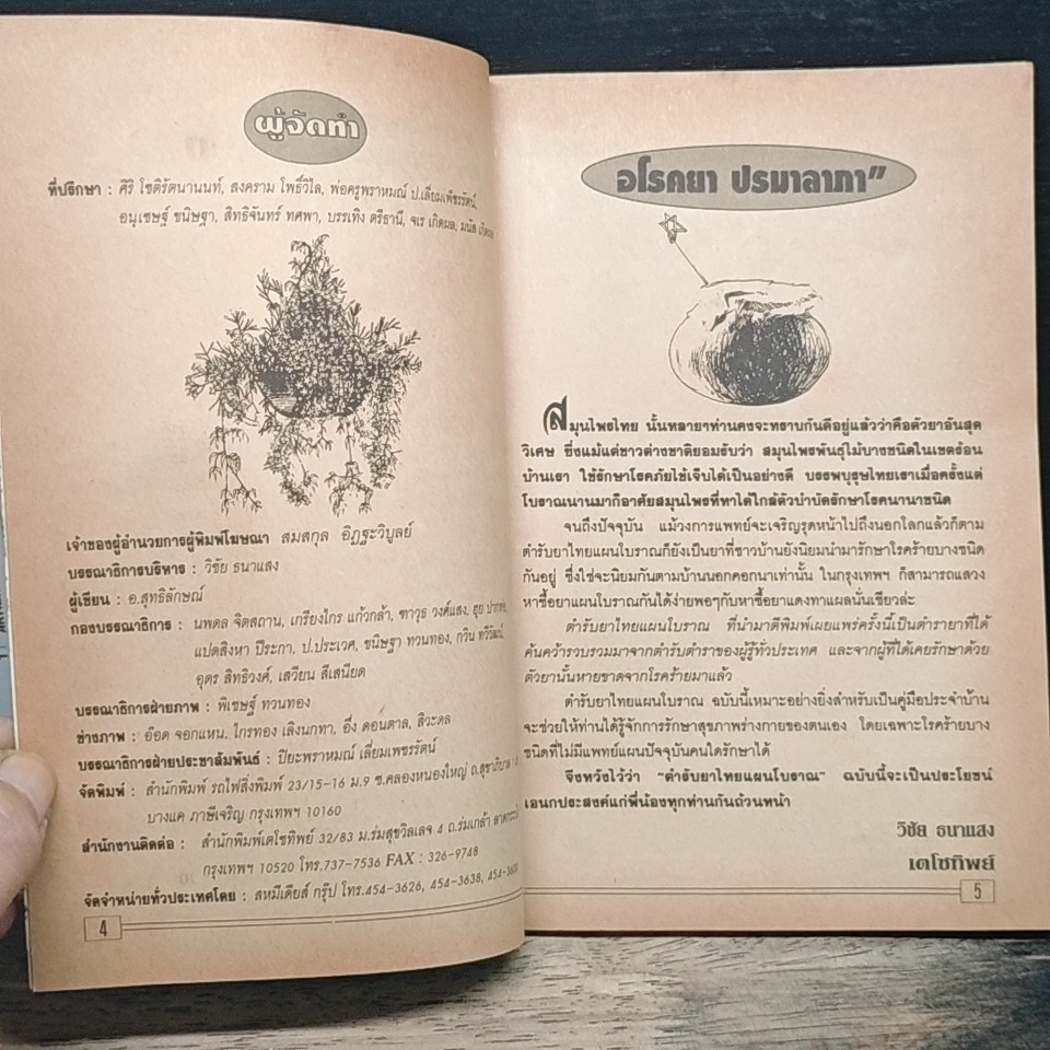ตำรายาไทยแผนโบราณ รูปที่ 6