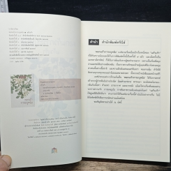 หนังสือ ดอกแก้วการะบุหนิง รูปที่ 6