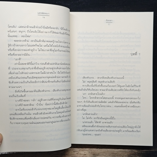 แสงซ่อนเงา รูปที่ 8