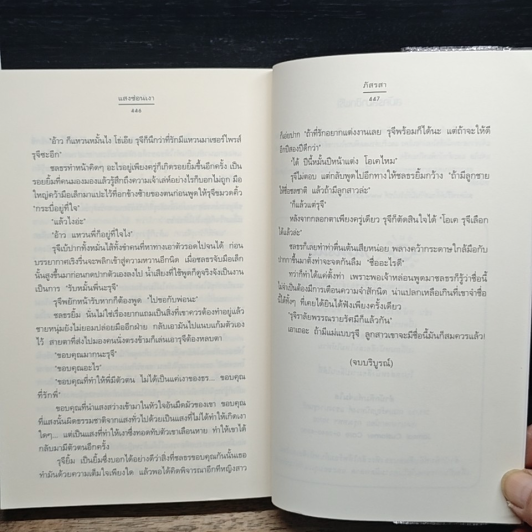 แสงซ่อนเงา รูปที่ 9