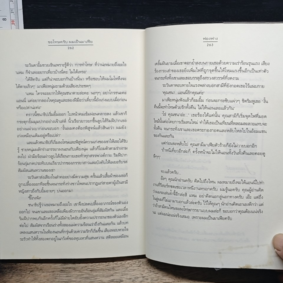 ขอโทษครับ ผมเป็นมาเฟีย รูปที่ 8