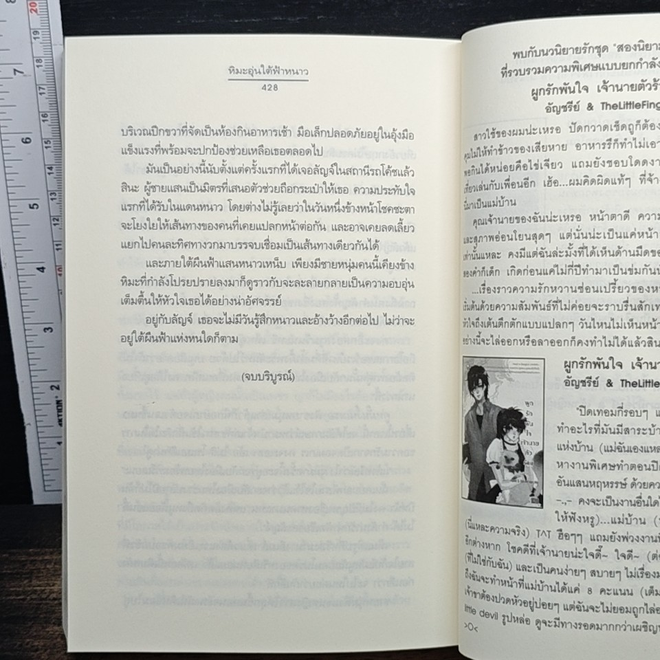 หิมะอุ่นใต้ฟ้าหนาว รูปที่ 8