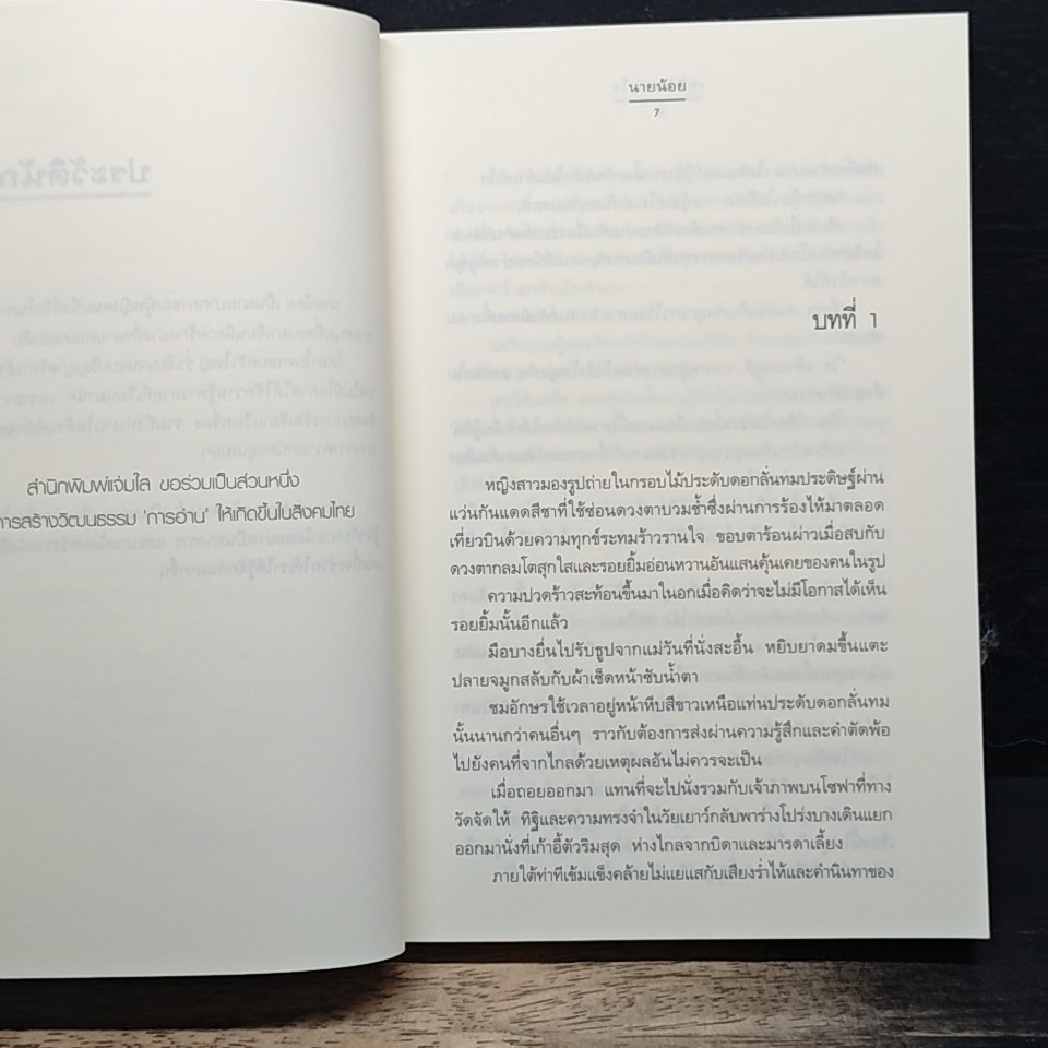 เพลิงผลาญใจ รูปที่ 7