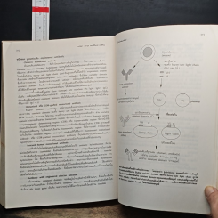 ตจอิมมูนวิทยา (DERMATO-IMMUNOLOGY) รูปที่ 7