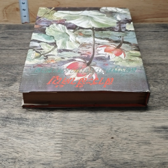 หนังสือ สาระสำคัญแห่งพุทธปรัชญามหายาน รูปที่ 4