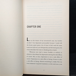 The Fault in Our Stars รูปที่ 7