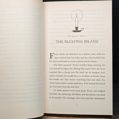 The Storm Keeper's Island รูปที่ 8
