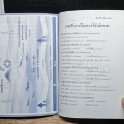 เทคนิคการเลี้ยงกุ้งชีวภาพ รูปที่ 7