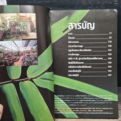 ปลูกไม้เสริมดวงบ้าน รูปที่ 6