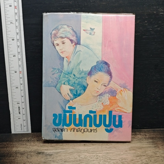 ขมิ้นกับปูน เล่ม 1 รูปที่ 1