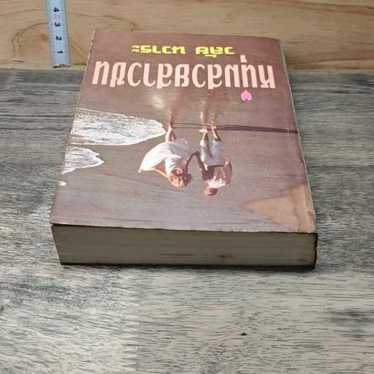 หนังสือ หนุ่มสวยสาวซน รูปที่ 3