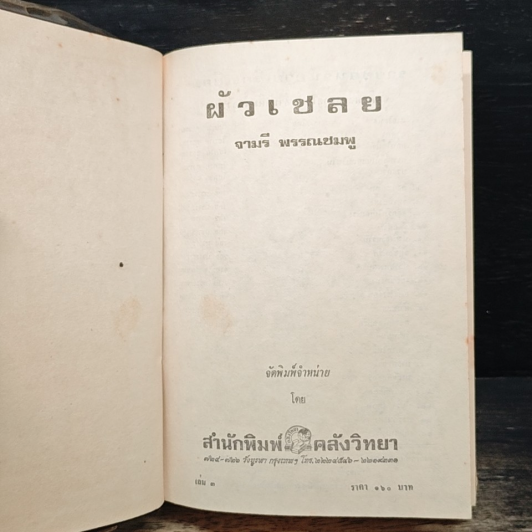ผัวเชลย เล่ม 3 รูปที่ 6