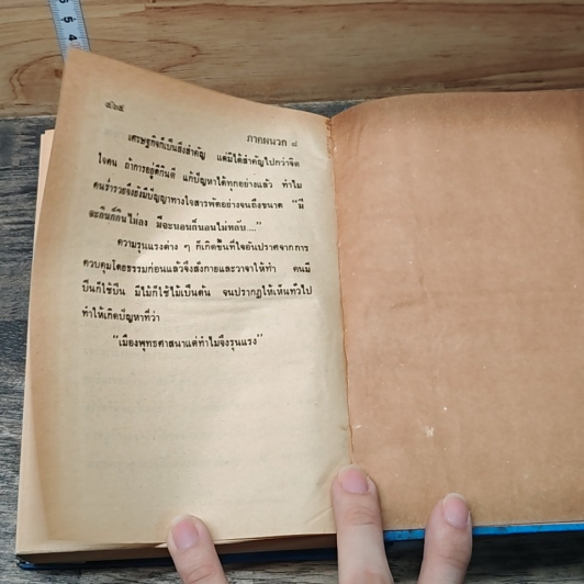 หนังสือ ประวัติศาสตร์ พระพุทธศาสนา รูปที่ 8