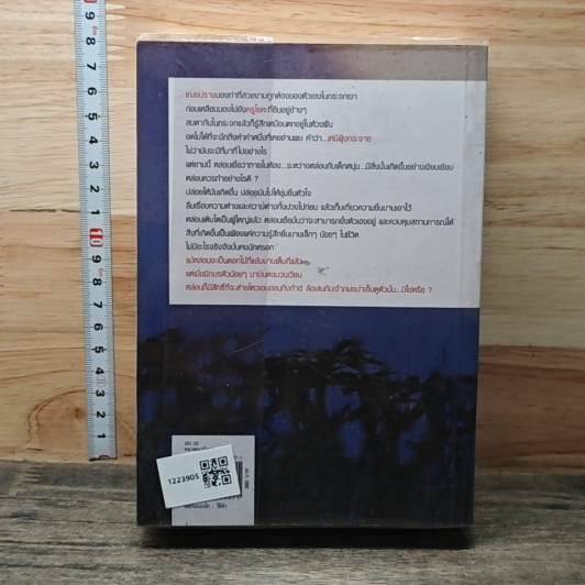 หนังสือ แสงฉานในม่านเมฆ รูปที่ 5