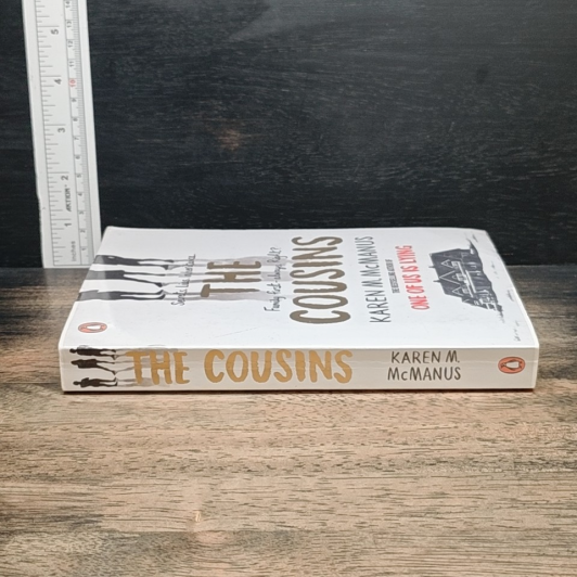 The Cousins รูปที่ 3