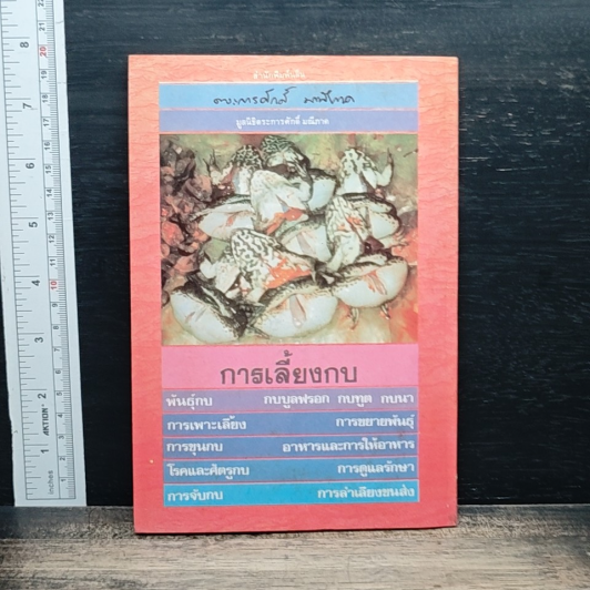 ความรู้เรื่องการเลี้ยงกบ รูปที่ 2