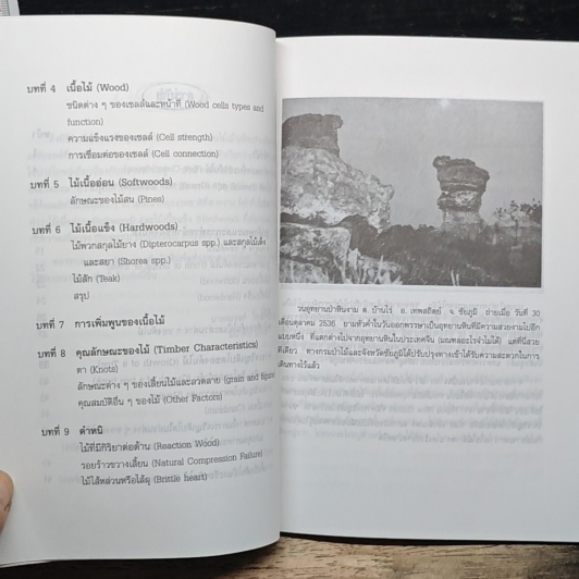 หนังสือ ความรู้เบื้องต้นเกี่ยวกับเรื่องไม้ รูปที่ 8