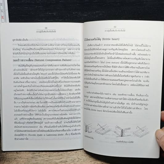 หนังสือ ความรู้เบื้องต้นเกี่ยวกับเรื่องไม้ รูปที่ 9