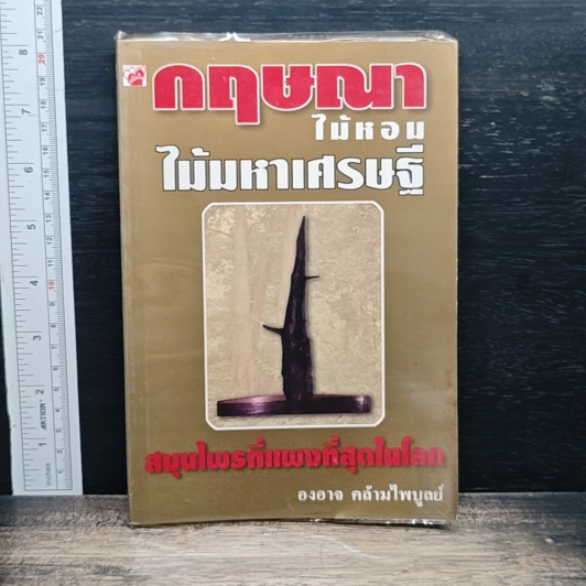 กฤษณา ไม้หอม ไม้มหาเศรษฐี สมุนไพรที่แพงที่สุดในโลก รูปที่ 1