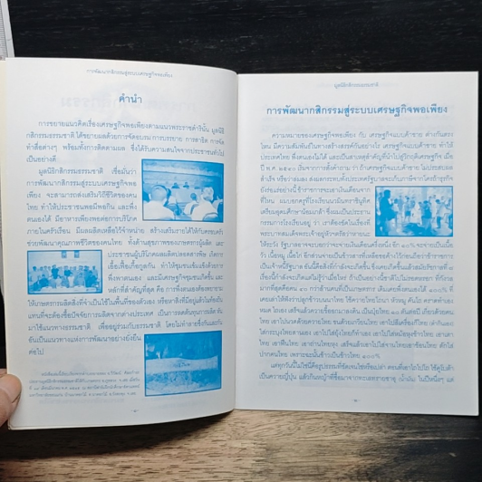 การพัฒนากลิกรรมสู่ระบบ เศรษฐกิจพอเพียง รูปที่ 7