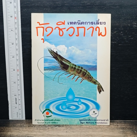 เทคนิคการเลี้ยงกุ้งชีวภาพ รูปที่ 1