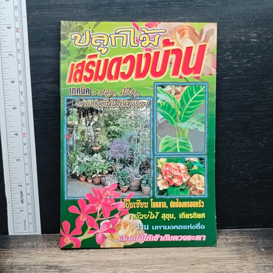 ปลูกไม้เสริมดวงบ้าน รูปที่ 1