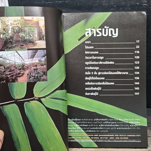ปลูกไม้เสริมดวงบ้าน รูปที่ 6