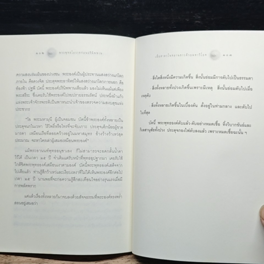 พระพุทธโอวาทก่อนปรินิพพาน (ใบไม้กำมือเดียว) รูปที่ 9