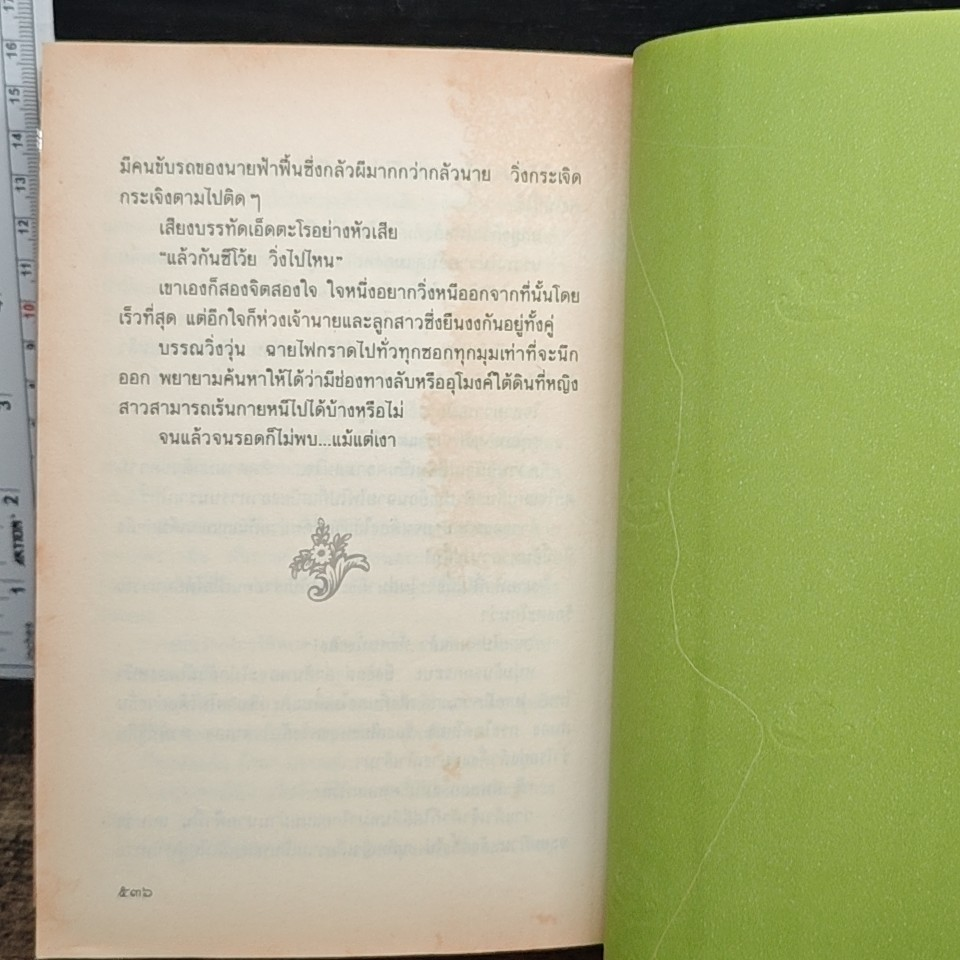 เรือนมยุรา รูปที่ 8
