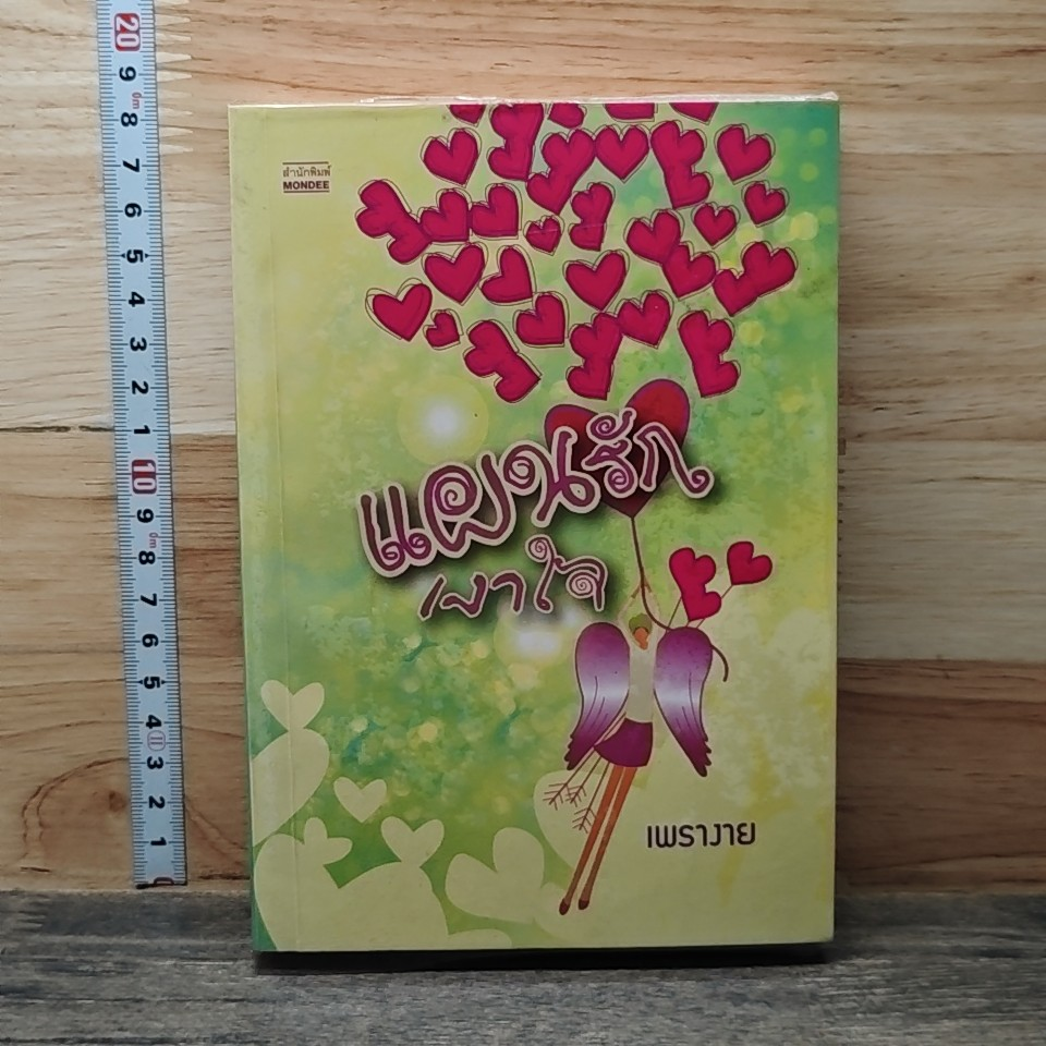 หนังสือ แผลงรักเงาใจ รูปที่ 1