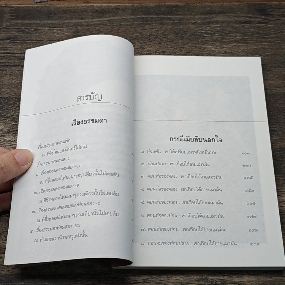 หนังสือ เรื่องธรรมดา และกรณีเมียลับนอกใจ รูปที่ 8