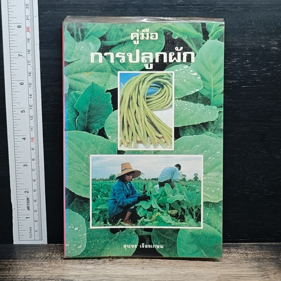 คู่มือการปลูกผัก รูปที่ 1