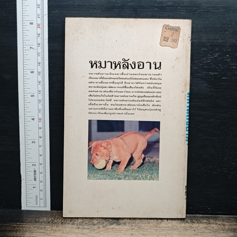 หมาหลังอาน รูปที่ 2