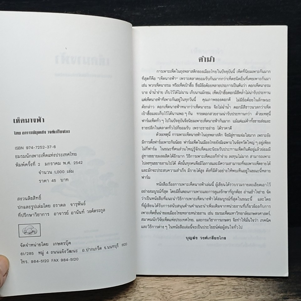 คู่มือการเพาะเห็ดนางฟ้า รูปที่ 6