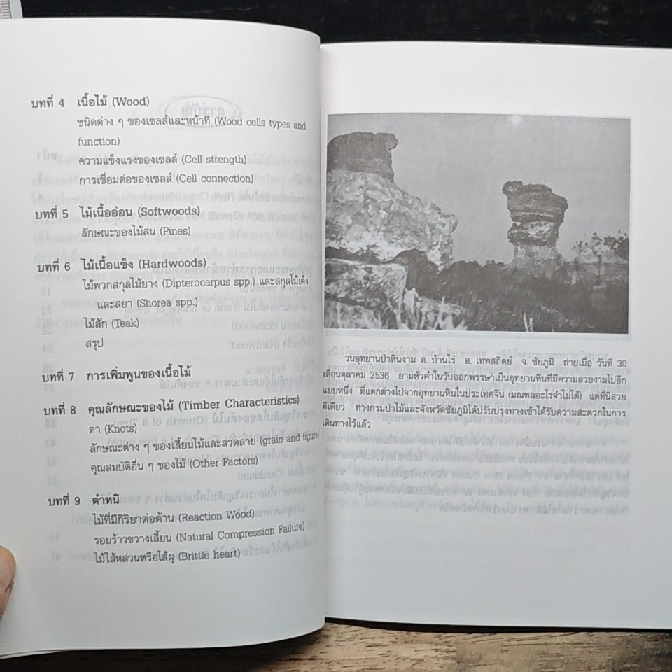 หนังสือ ความรู้เบื้องต้นเกี่ยวกับเรื่องไม้ รูปที่ 8