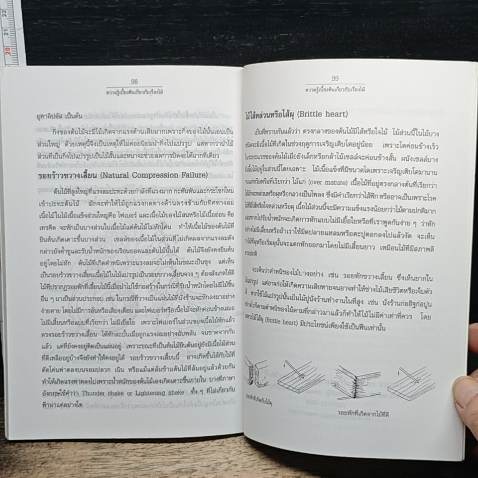 หนังสือ ความรู้เบื้องต้นเกี่ยวกับเรื่องไม้ รูปที่ 9