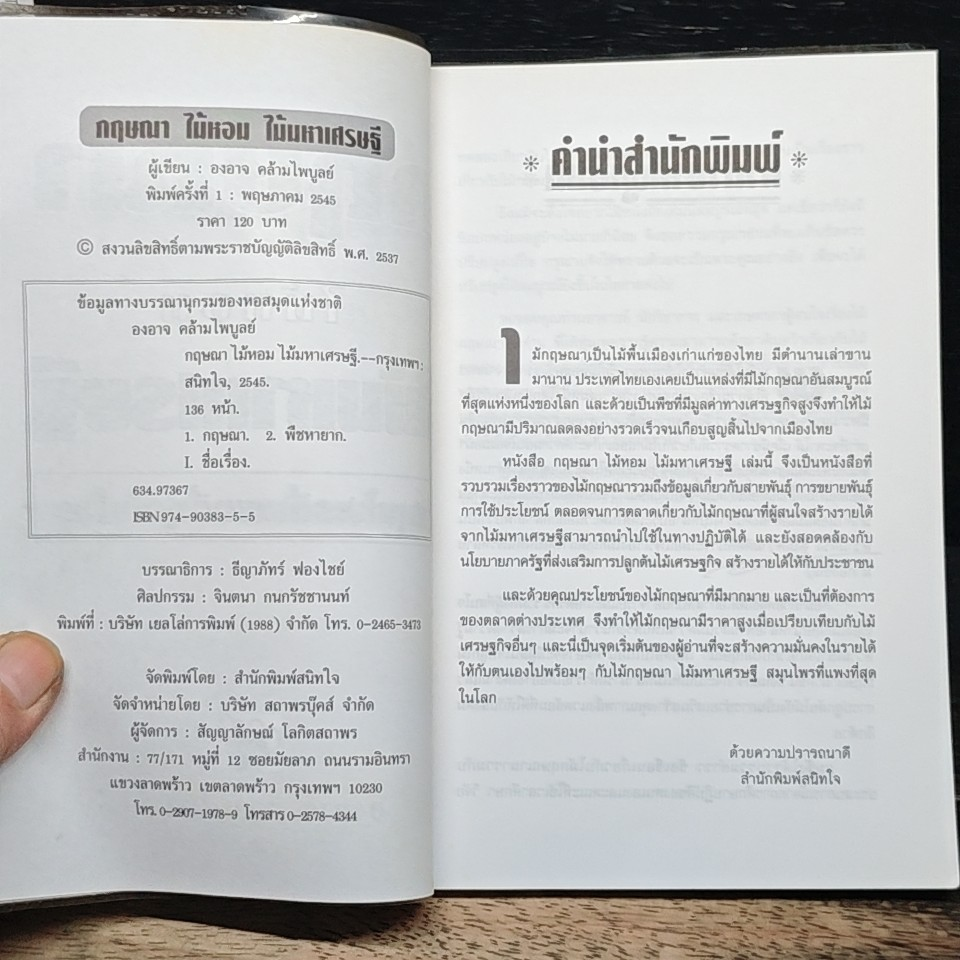 กฤษณา ไม้หอม ไม้มหาเศรษฐี สมุนไพรที่แพงที่สุดในโลก รูปที่ 6