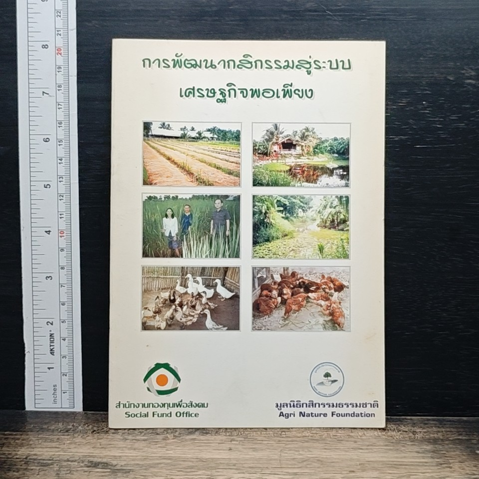 การพัฒนากลิกรรมสู่ระบบ เศรษฐกิจพอเพียง รูปที่ 1