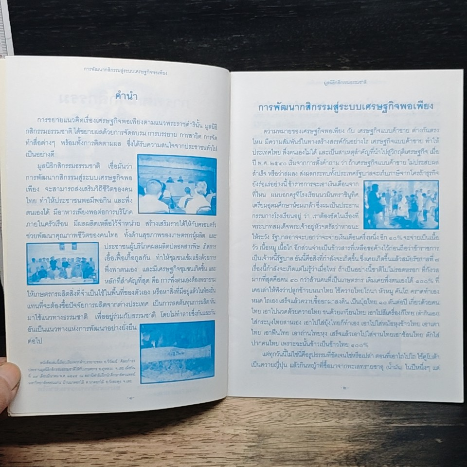 การพัฒนากลิกรรมสู่ระบบ เศรษฐกิจพอเพียง รูปที่ 7