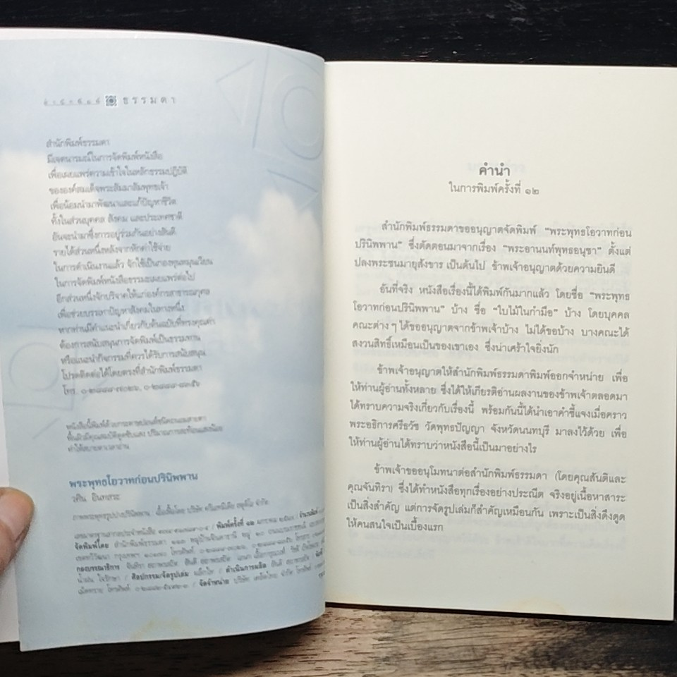 พระพุทธโอวาทก่อนปรินิพพาน (ใบไม้กำมือเดียว) รูปที่ 6