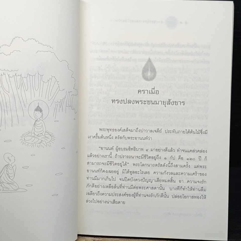 พระพุทธโอวาทก่อนปรินิพพาน (ใบไม้กำมือเดียว) รูปที่ 8