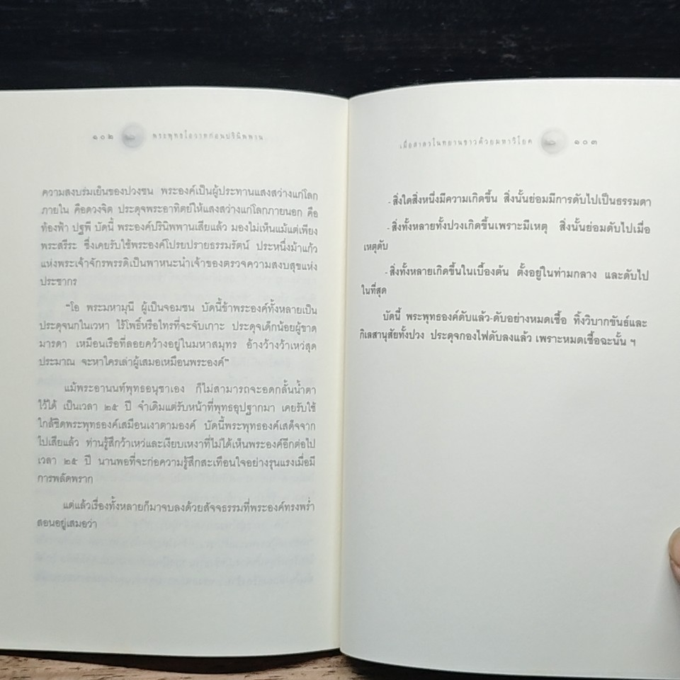 พระพุทธโอวาทก่อนปรินิพพาน (ใบไม้กำมือเดียว) รูปที่ 9