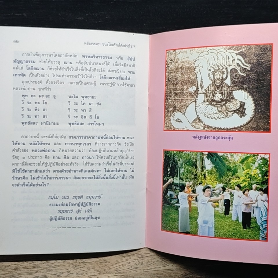 พลังธรรมะ ชนะโรคร้ายได้อย่างไร ? รูปที่ 7