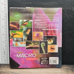 Easy Macro Workshop รูปที่ 2