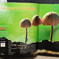 Easy Macro Workshop รูปที่ 6