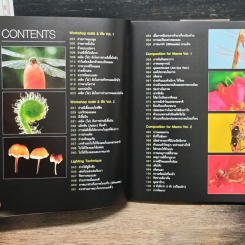 Easy Macro Workshop รูปที่ 7