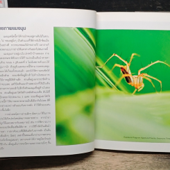 Easy Macro Workshop รูปที่ 9