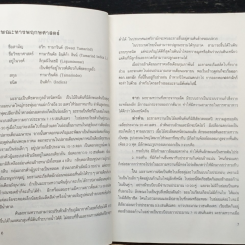 คู่มือการปลูก มะขามหวาน รูปที่ 8