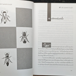 น้ำผึ้ง โอสถทิพย์จากมวลบุปผา รูปที่ 8
