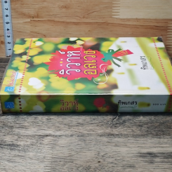 หนังสือ วิวาห์อลเวง รูปที่ 3